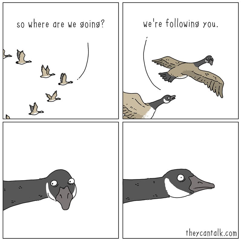 theycantalk.com